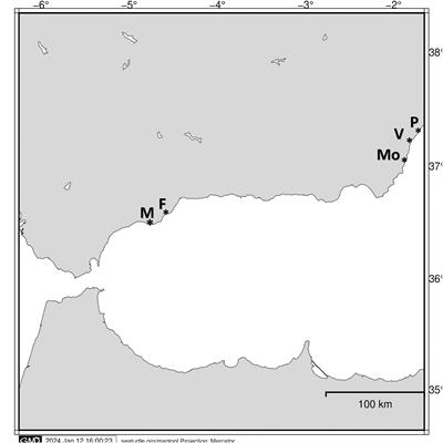 Is climate change modifying the behavior of sea turtles? The particular case of the loggerhead turtle in the Alboran Sea